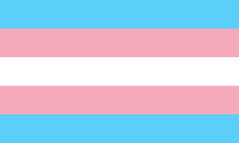 A rectangular flag with five equal-width horizontal stripes: blue, pink, white, pink, blue