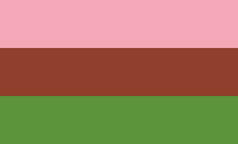 A rectangular flag with three equal width horizontal stripes: pink, brown, green
